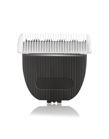 Tête de rechange Sthauer Sthauer Cabezal