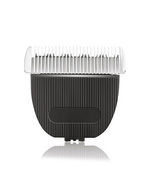 Tête de rechange Sthauer Sthauer Cabezal