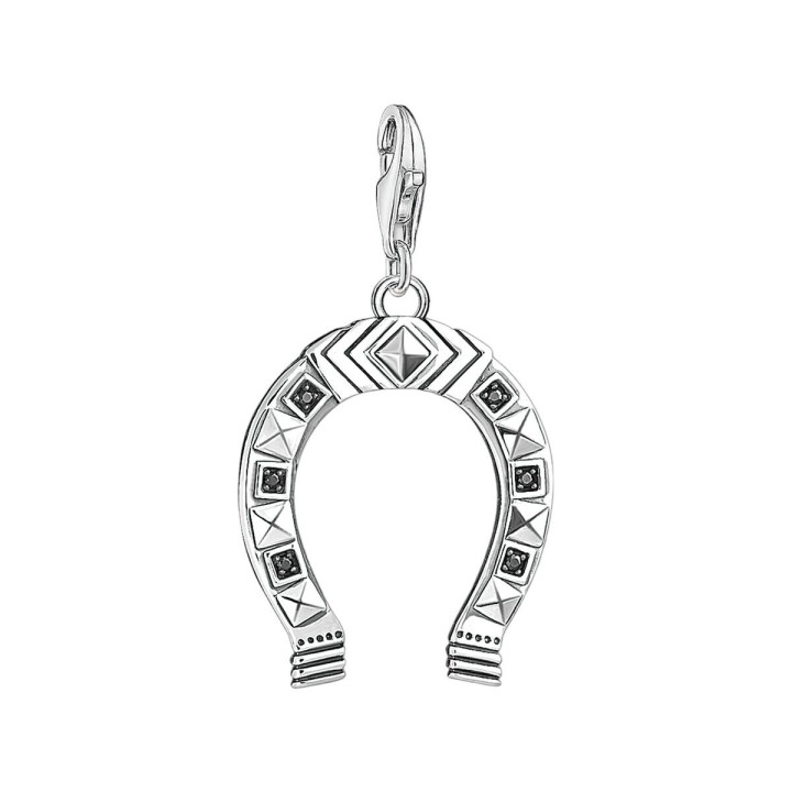 Vedhæng til mænd Thomas Sabo 1560-643-11 2 cm