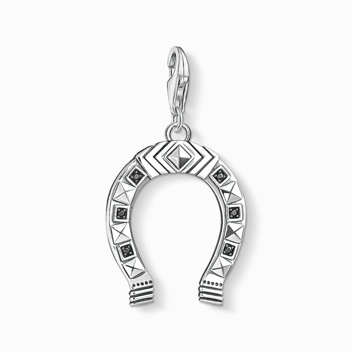 Vedhæng til mænd Thomas Sabo 1560-643-11 2 cm