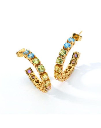 Ladies' Earrings AN Jewels AL.ELOY12YF