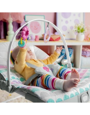 Baby Hammock Bright Starts