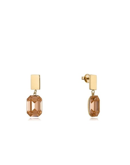 Ladies' Earrings Viceroy 14081E01012