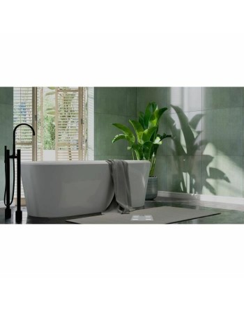 Báscula Digital de Baño Terraillon Regular Fit Gris 160 kg