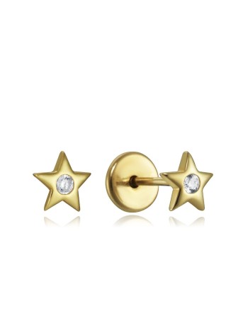 Boucles d´oreilles Viceroy 9102E100-38