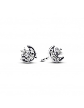 Ladies' Earrings Pandora 292990C01