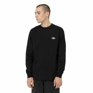 Sweaters uden Hætte til Mænd Dickies Summerdale Hvid