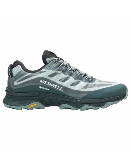 Herren-Sportschuhe Merrell Moab Speed GTX Blau