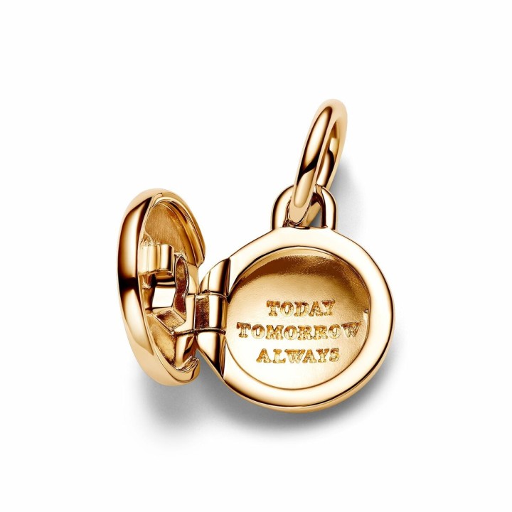 Charm Mujer Pandora 763066C01