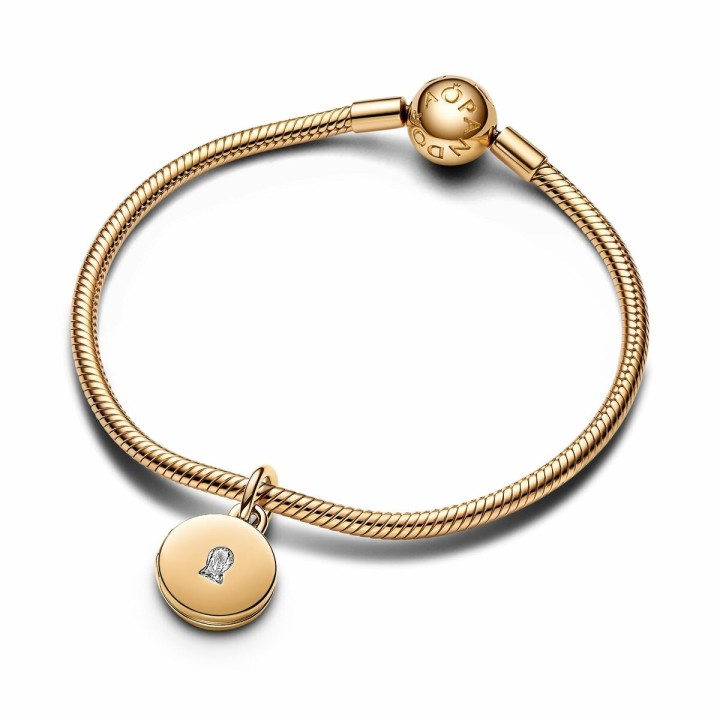 Charm Mujer Pandora 763066C01