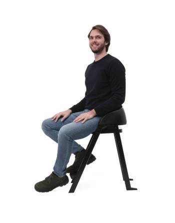 Trona Chicco Crescendo Lite cairo coal Negro Acero Inoxidable