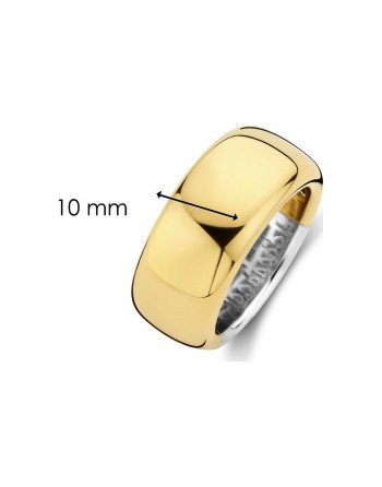 Damenring Ti Sento 12234SY/56 16