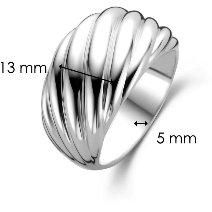 Ring til kvinder Ti Sento 12238SI/56 16