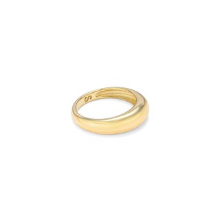 Ring til kvinder Secrecy 14 (14)