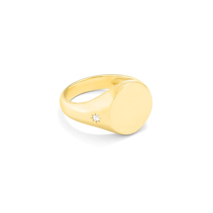 Ring til kvinder Secrecy PR102545016 16 (16)