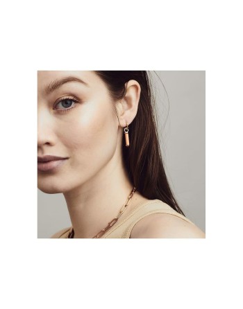 Ladies' Earrings Ti Sento 9234CP