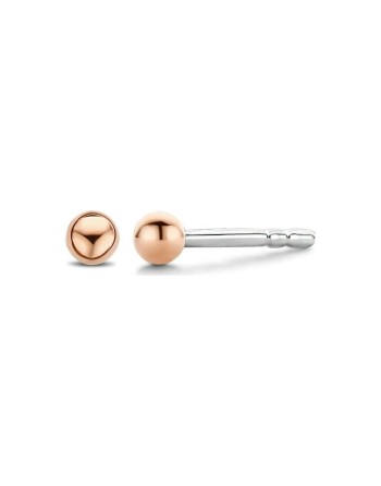 Ladies' Earrings Ti Sento 7841SR