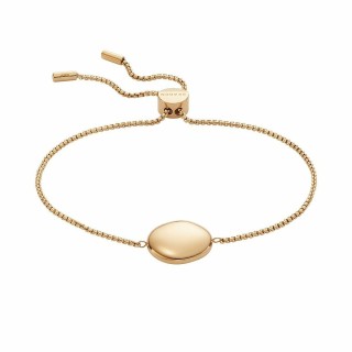 Armbånd til kvinder Skagen SKJ1775710