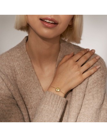 Ladies' Bracelet Skagen SKJ1775710