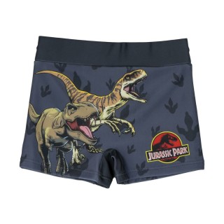 Drengebadebukserne Jurassic Park Mørkegrå