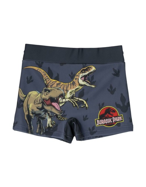 Boxer de Bain pour Enfants Jurassic Park Gris foncé