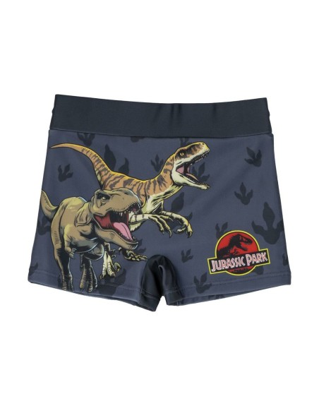 Boxer de Bain pour Enfants Jurassic Park Gris foncé
