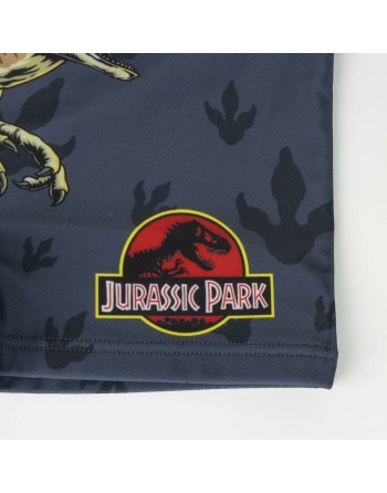 Boys Swim Shorts Jurassic Park Dark grey