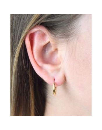 Øreringe til kvinder Tommy Hilfiger 2780557