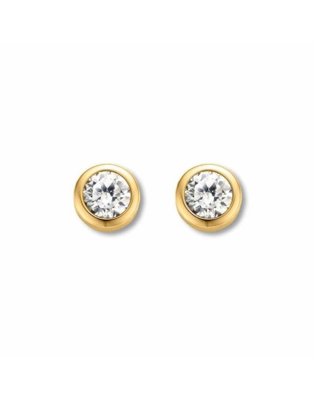 Ladies' Earrings Ti Sento 7597ZY
