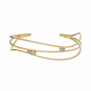 Armbånd Skagen SKJ1764710