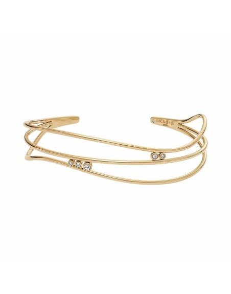 Armbånd Skagen SKJ1764710