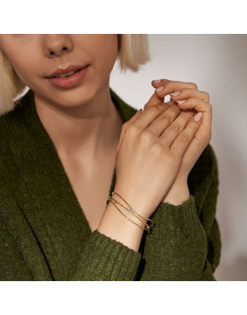 Armbånd Skagen SKJ1764710