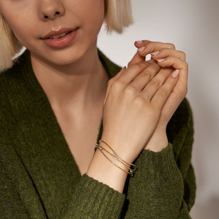 Armbånd Skagen SKJ1764710