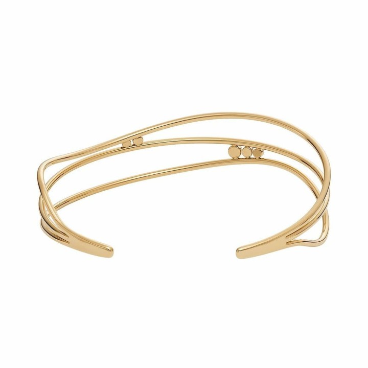 Armbånd Skagen SKJ1764710