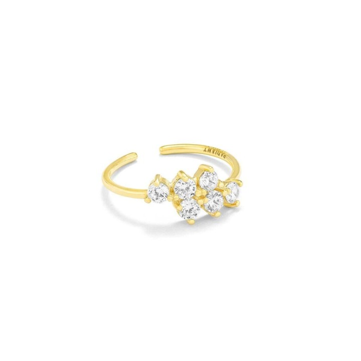 Ring til kvinder Radiant RY000006 17