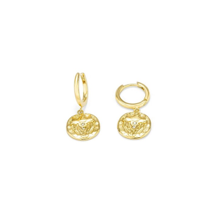 Damenohrringe Radiant RY000047 Edelstahl 1,5 cm