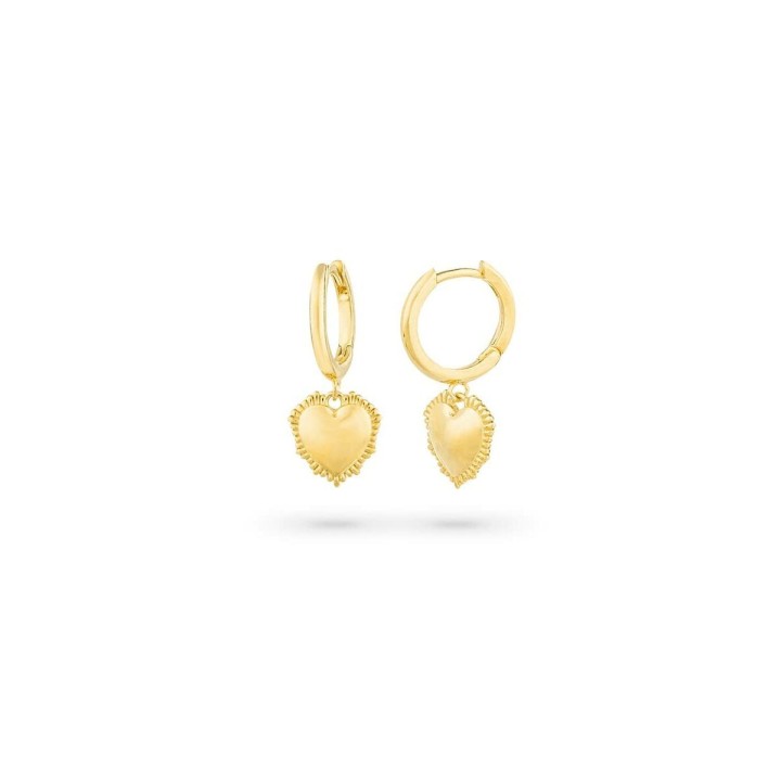 Orecchini Donna Radiant RY000056 Acciaio inossidabile 2,5 cm