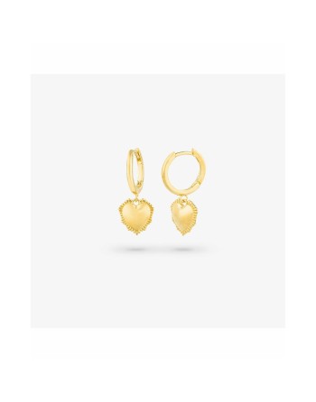 Orecchini Donna Radiant RY000056 Acciaio inossidabile 2,5 cm