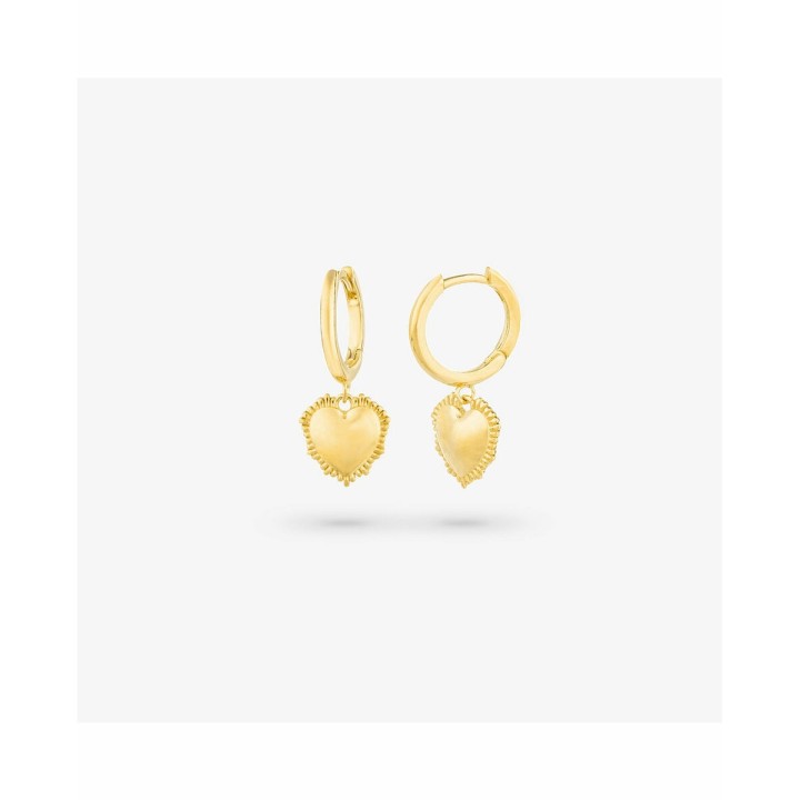 Boucles d´oreilles Femme Radiant RY000056 Acier inoxydable 2,5 cm