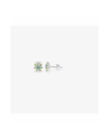 Boucles d´oreilles Femme Radiant RY000109 Acier inoxydable 1 cm