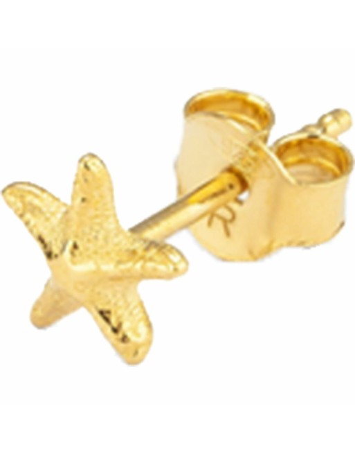 Orecchini Donna Radiant RY000141