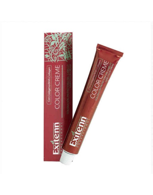 Teinture permanente Exitenn Color Creme Bleu (60 ml)