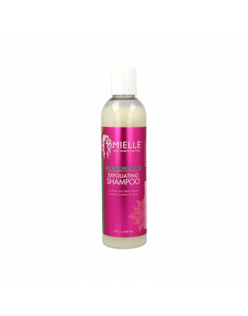 Shampooing Mielle Mongongo Oil Exfoliant (240 ml)