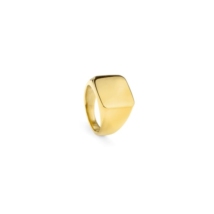 Ring til mænd Radiant RH000027-24 24