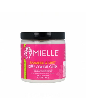 Après-shampooing Mielle Babassu & Mint Deep (227 g)