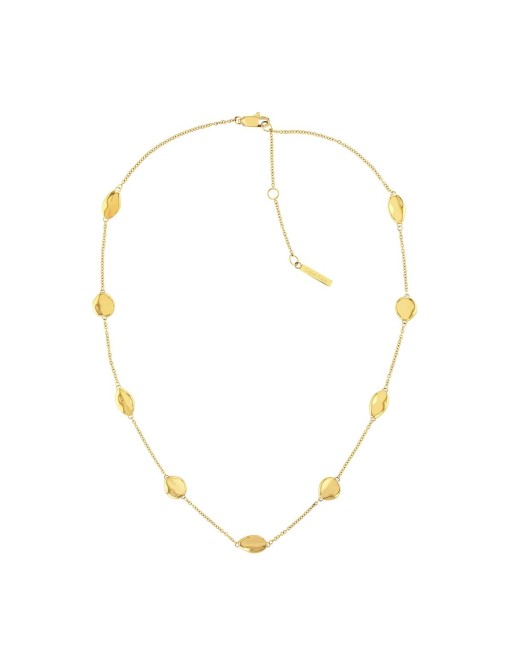 Ladies' Necklace Calvin Klein 35000125