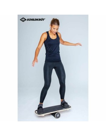 Gleichgewichtsbrett Schildkröt