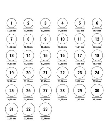 Damenring Ti Sento 1463ZY/52