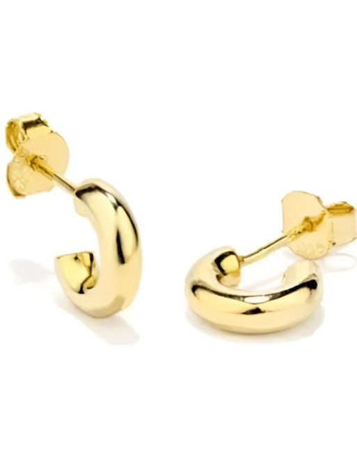 Orecchini Donna Radiant RY000224 Metallo