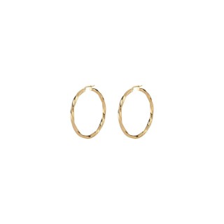 Ladies' Earrings Guess JUBE04184JWYGT-U